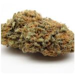 Шишки AK47 (Гидропоника, Бошка) VHQ в Полевском Шишки AK47 (Гидропоника, Бошка) VHQ в Полевском